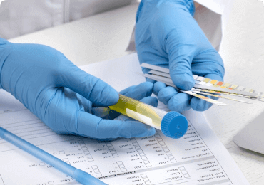 Navigating Global Food Security Challenges